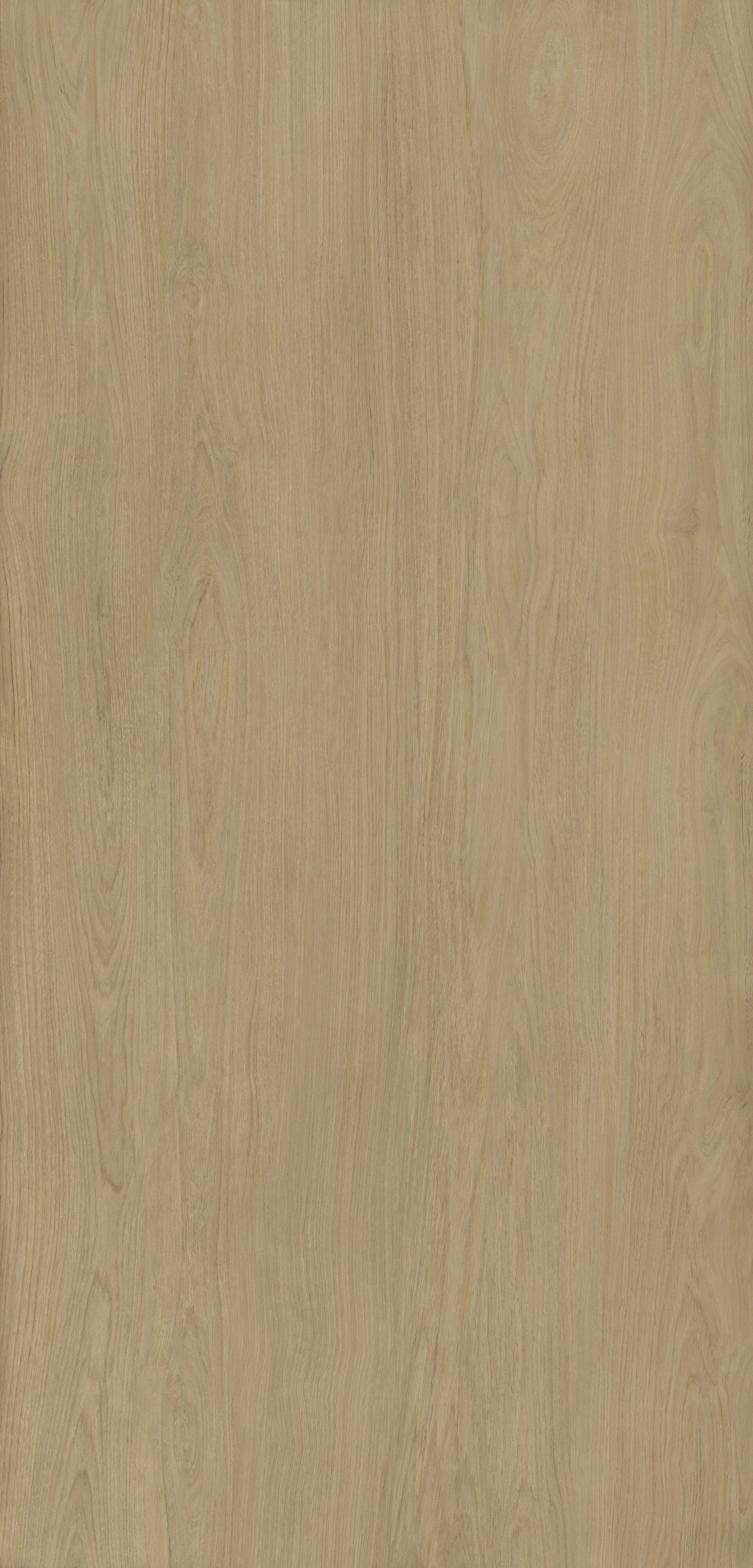 Legno rovere MT