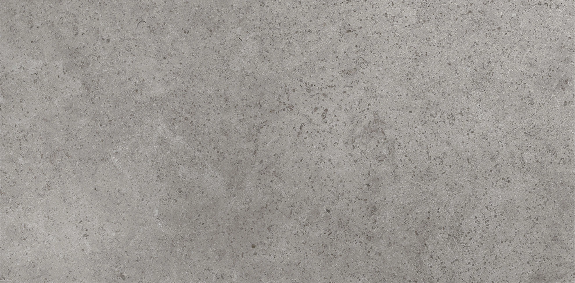 Limestone Gris